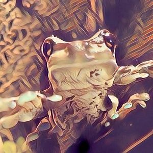 Thank You For All The Shares ♡